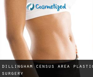 Dillingham Census Area plastic surgery