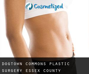 Dogtown Commons plastic surgery (Essex County, Massachusetts)