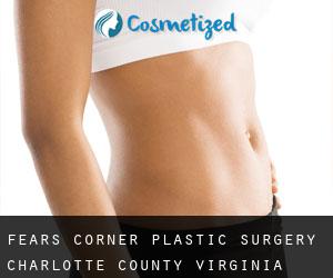 Fears Corner plastic surgery (Charlotte County, Virginia)