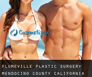 Flumeville plastic surgery (Mendocino County, California)