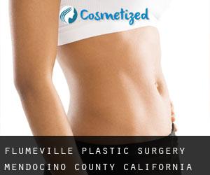 Flumeville plastic surgery (Mendocino County, California)