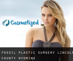 Fossil plastic surgery (Lincoln County, Wyoming)