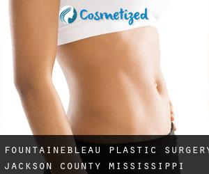 Fountainebleau plastic surgery (Jackson County, Mississippi)