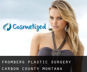 Fromberg plastic surgery (Carbon County, Montana)