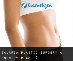 Galaria Plastic Surgery (A Country Place) #2