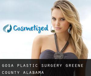 Gosa plastic surgery (Greene County, Alabama)