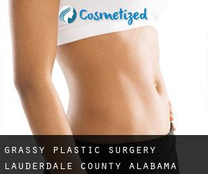 Grassy plastic surgery (Lauderdale County, Alabama)