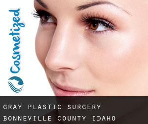Gray plastic surgery (Bonneville County, Idaho)