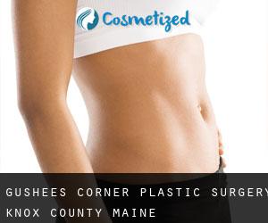 Gushees Corner plastic surgery (Knox County, Maine)