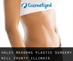 Haley Meadows plastic surgery (Will County, Illinois)