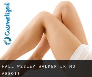 Hall Wesley Walker Jr MD (Abbott)