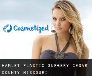 Hamlet plastic surgery (Cedar County, Missouri)