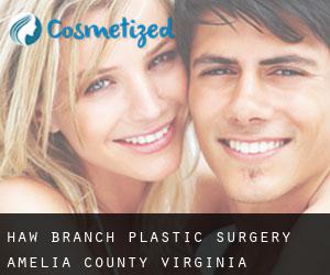 Haw Branch plastic surgery (Amelia County, Virginia)