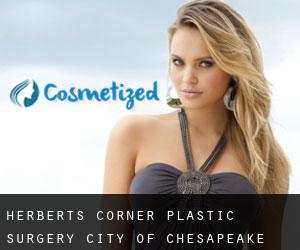 Herberts Corner plastic surgery (City of Chesapeake, Virginia)