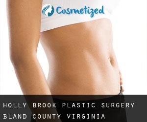 Holly Brook plastic surgery (Bland County, Virginia)