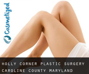 Holly Corner plastic surgery (Caroline County, Maryland)