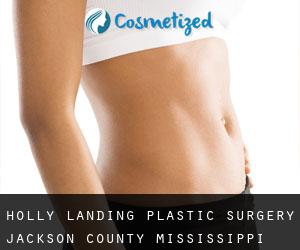 Holly Landing plastic surgery (Jackson County, Mississippi)