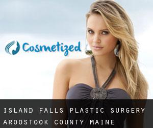 Island Falls plastic surgery (Aroostook County, Maine)