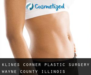Klines Corner plastic surgery (Wayne County, Illinois)