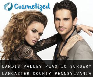 Landis Valley plastic surgery (Lancaster County, Pennsylvania)