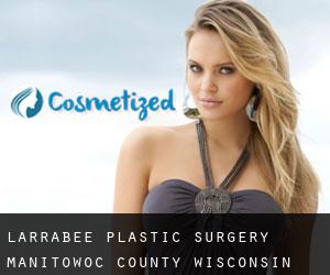 Larrabee plastic surgery (Manitowoc County, Wisconsin)