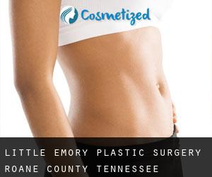 Little Emory plastic surgery (Roane County, Tennessee)