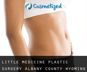 Little Medicine plastic surgery (Albany County, Wyoming)