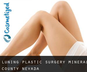 Luning plastic surgery (Mineral County, Nevada)