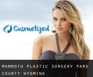 Mammoth plastic surgery (Park County, Wyoming)