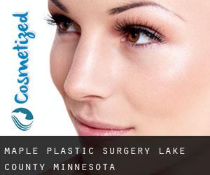 Maple plastic surgery (Lake County, Minnesota)