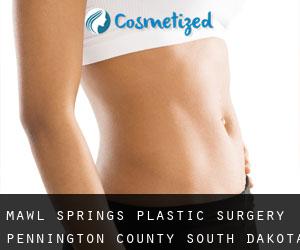 Mawl Springs plastic surgery (Pennington County, South Dakota)
