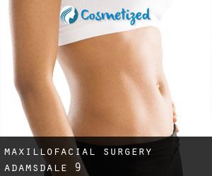 Maxillofacial Surgery (Adamsdale) #9