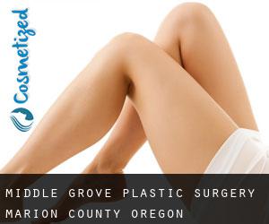 Middle Grove plastic surgery (Marion County, Oregon)