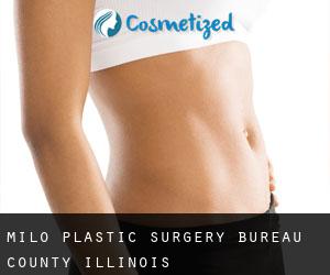 Milo plastic surgery (Bureau County, Illinois)