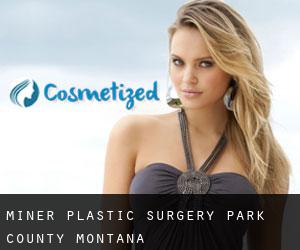 Miner plastic surgery (Park County, Montana)