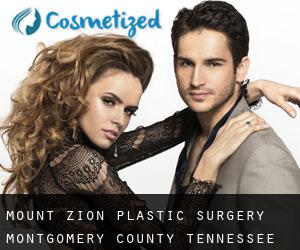 Mount Zion plastic surgery (Montgomery County, Tennessee)