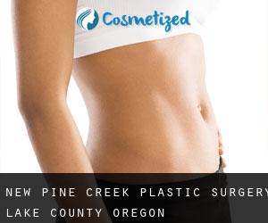 New Pine Creek plastic surgery (Lake County, Oregon)