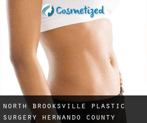 North Brooksville plastic surgery (Hernando County, Florida)