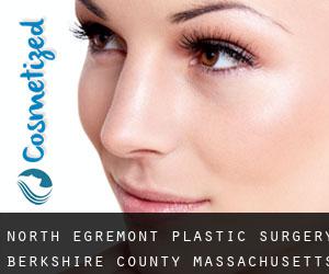 North Egremont plastic surgery (Berkshire County, Massachusetts)