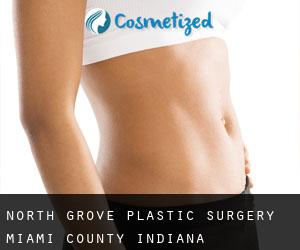 North Grove plastic surgery (Miami County, Indiana)