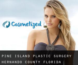 Pine Island plastic surgery (Hernando County, Florida)