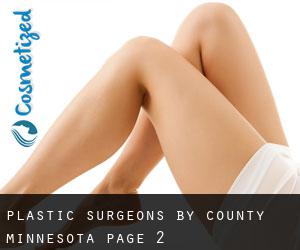 plastic surgeons by County (Minnesota) - page 2