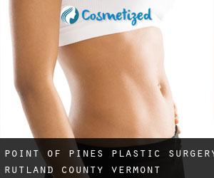 Point of Pines plastic surgery (Rutland County, Vermont)