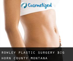 Rowley plastic surgery (Big Horn County, Montana)
