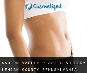 Saucon Valley plastic surgery (Lehigh County, Pennsylvania)