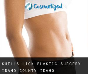 Shells Lick plastic surgery (Idaho County, Idaho)