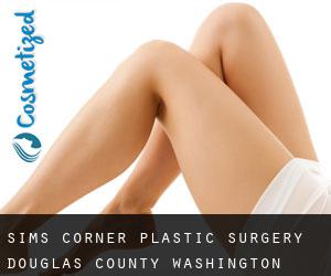 Sims Corner plastic surgery (Douglas County, Washington)
