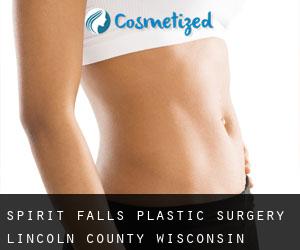 Spirit Falls plastic surgery (Lincoln County, Wisconsin)