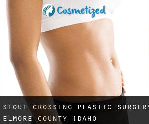 Stout Crossing plastic surgery (Elmore County, Idaho)