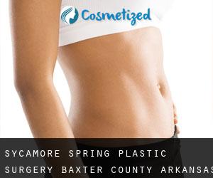 Sycamore Spring plastic surgery (Baxter County, Arkansas)